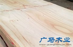 建筑用木模板批發(fā)工廠價格